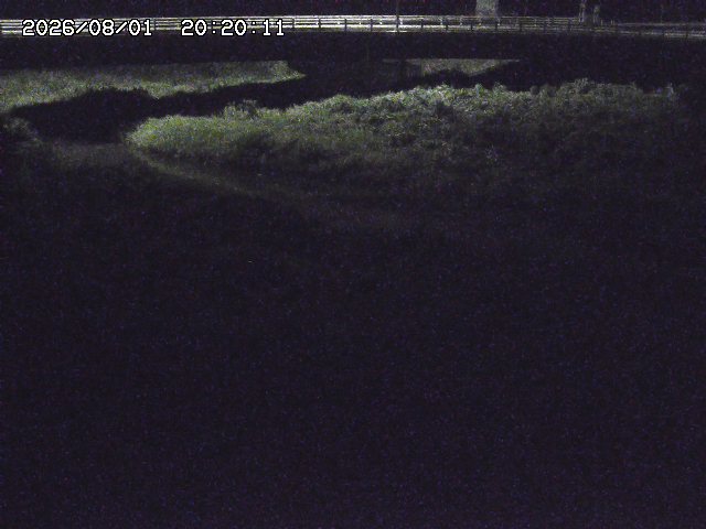 野坂川３2026/08/01 20:40