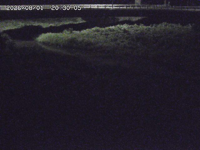 野坂川３2026/08/01 20:40