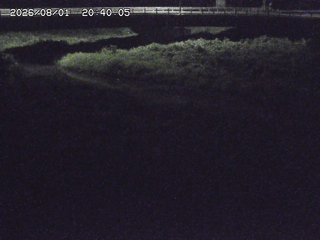 野坂川３2026/08/01 20:40