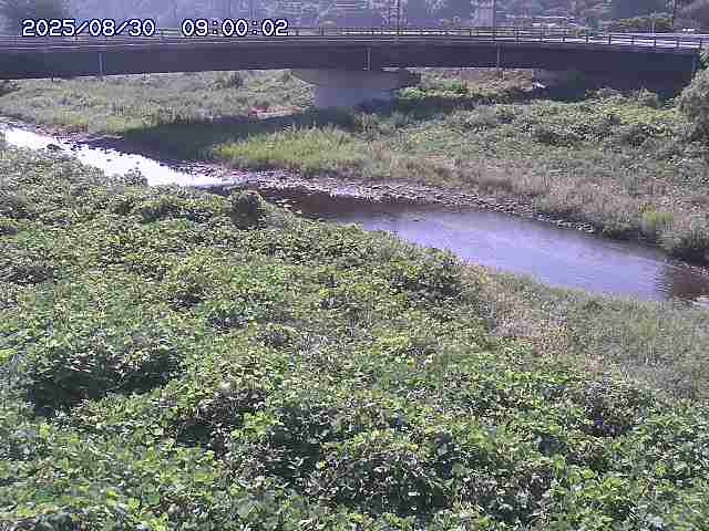 野坂川３2025/08/31 08:50