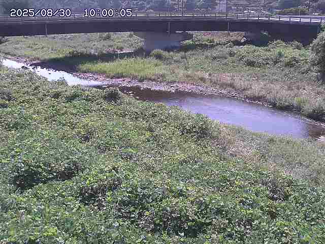 野坂川３2025/08/31 08:50