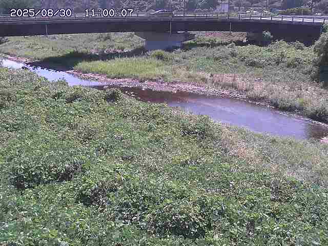 野坂川３2025/08/31 08:50