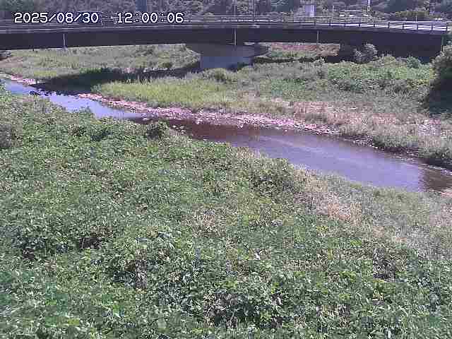 野坂川３2025/08/31 08:50