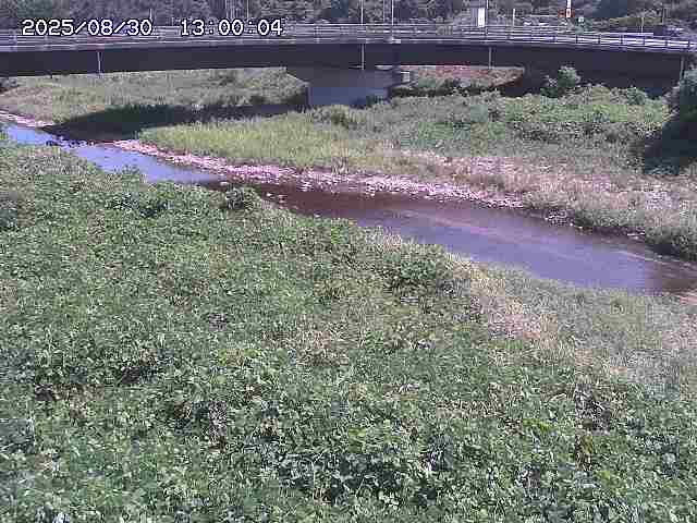 野坂川３2025/08/31 08:50
