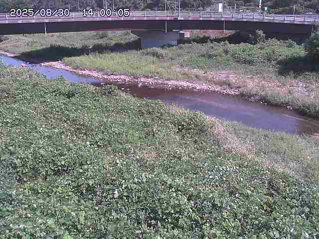 野坂川３2025/08/31 08:50