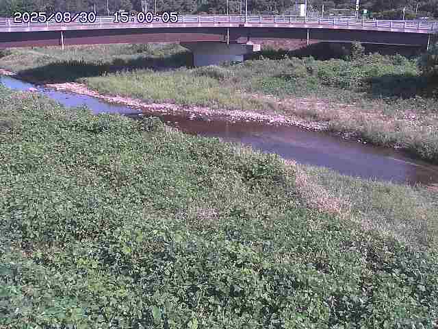 野坂川３2025/08/31 08:50