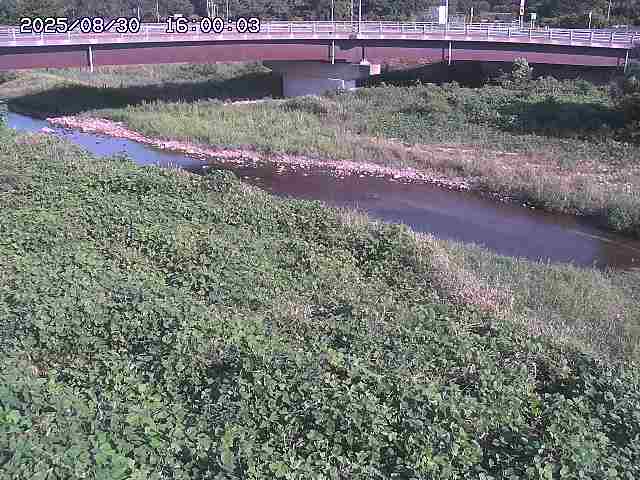 野坂川３2025/08/31 08:50