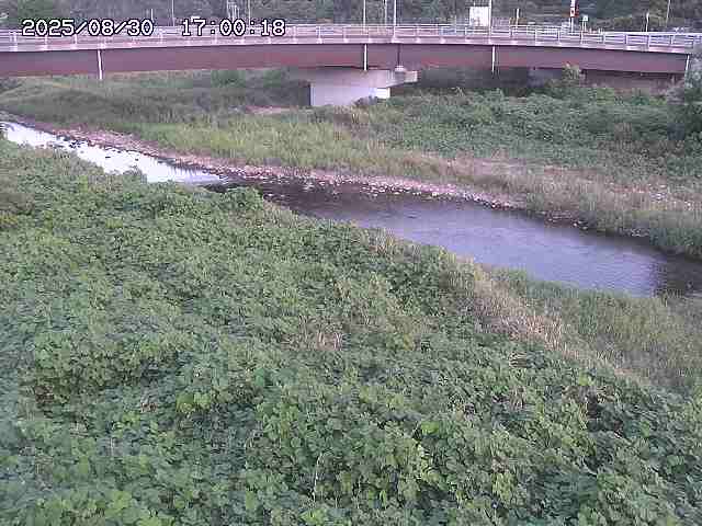 野坂川３2025/08/31 08:50