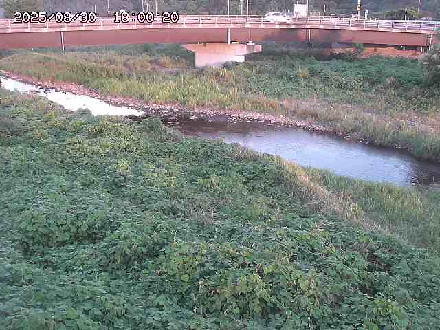野坂川３2025/08/31 08:50