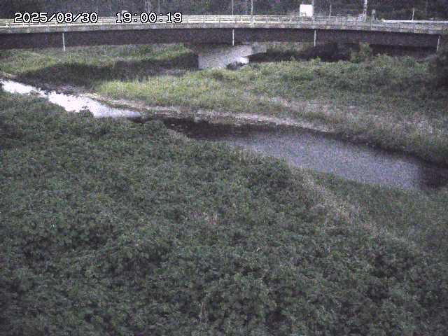 野坂川３2025/08/31 08:50