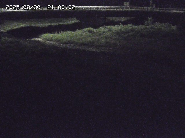 野坂川３2025/08/31 08:50