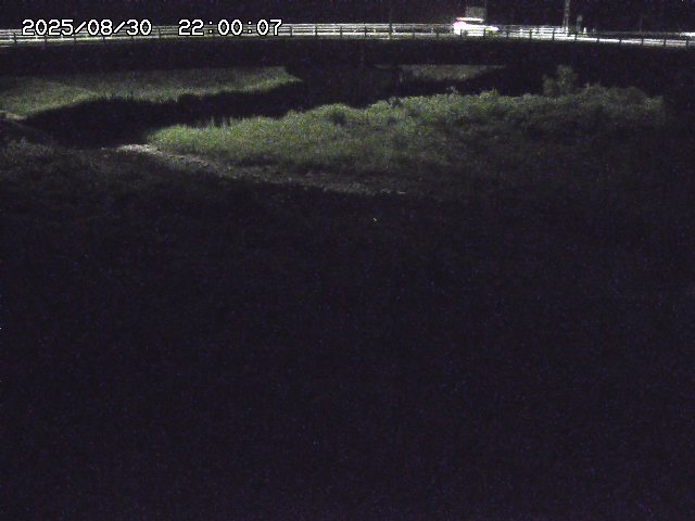 野坂川３2025/08/31 08:50