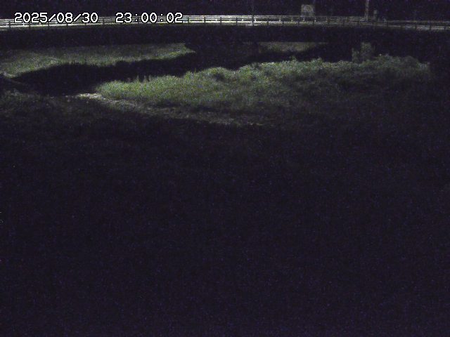 野坂川３2025/08/31 08:50