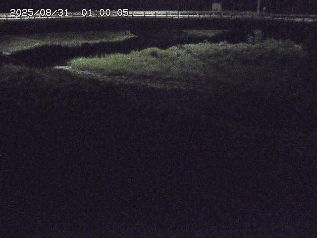 野坂川３2025/08/31 08:50