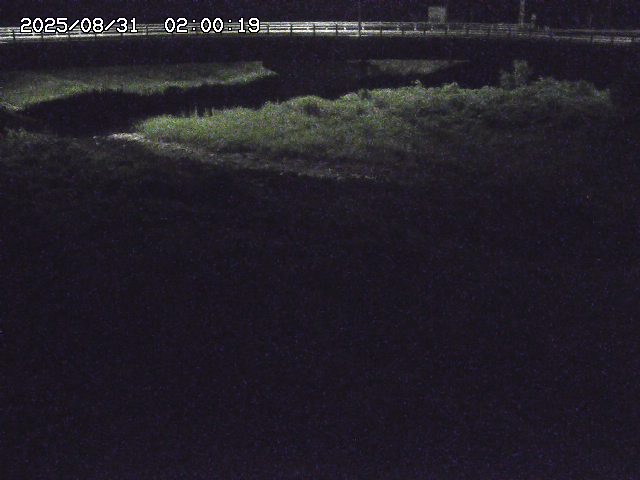 野坂川３2025/08/31 08:50