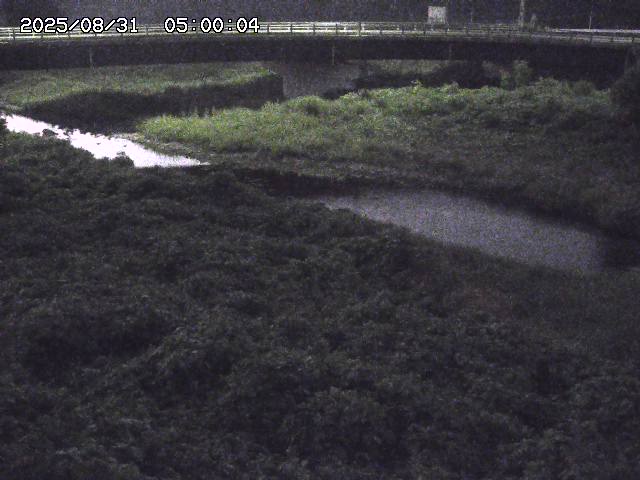 野坂川３2025/08/31 08:50