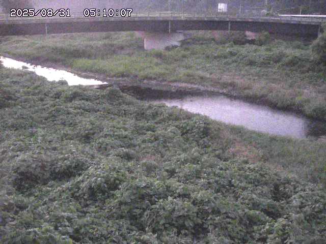 野坂川３2025/08/31 08:50