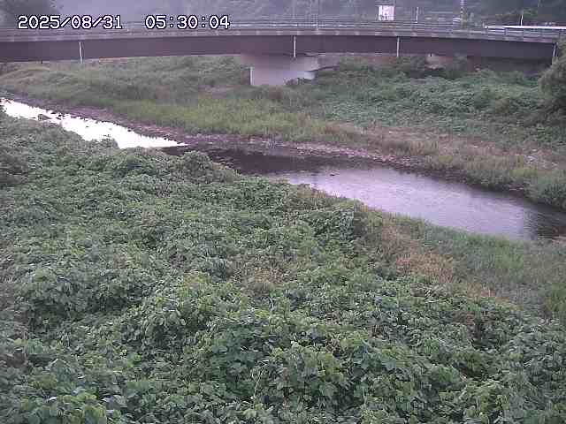 野坂川３2025/08/31 08:50