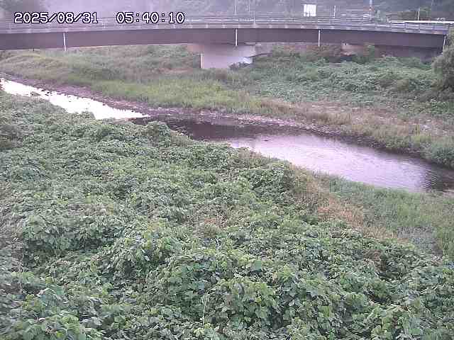 野坂川３2025/08/31 08:50