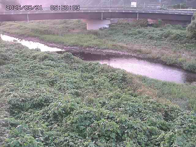 野坂川３2025/08/31 08:50