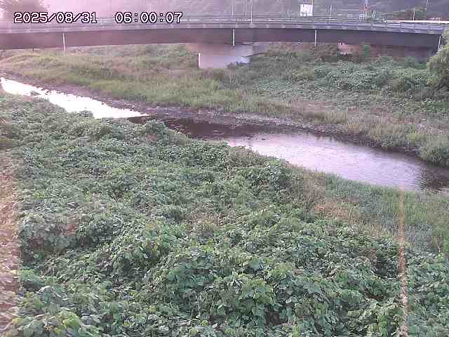野坂川３2025/08/31 08:50