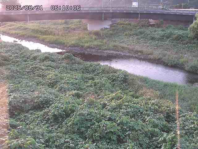 野坂川３2025/08/31 08:50