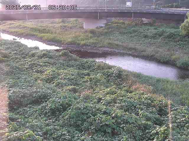 野坂川３2025/08/31 08:50