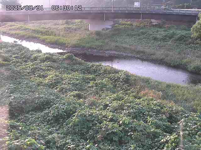 野坂川３2025/08/31 08:50