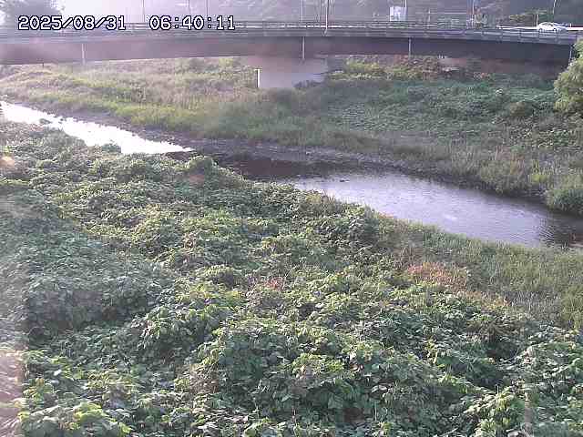 野坂川３2025/08/31 08:50