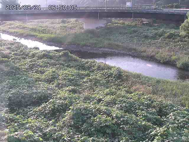 野坂川３2025/08/31 08:50