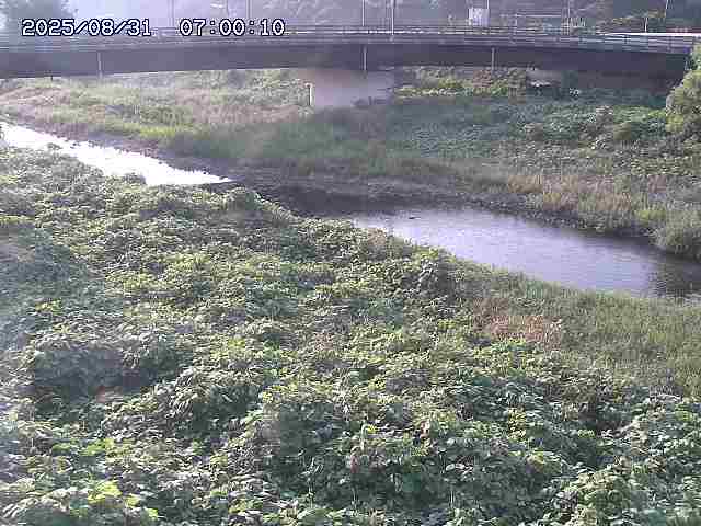 野坂川３2025/08/31 08:50