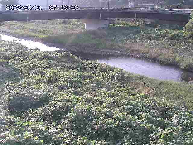 野坂川３2025/08/31 08:50