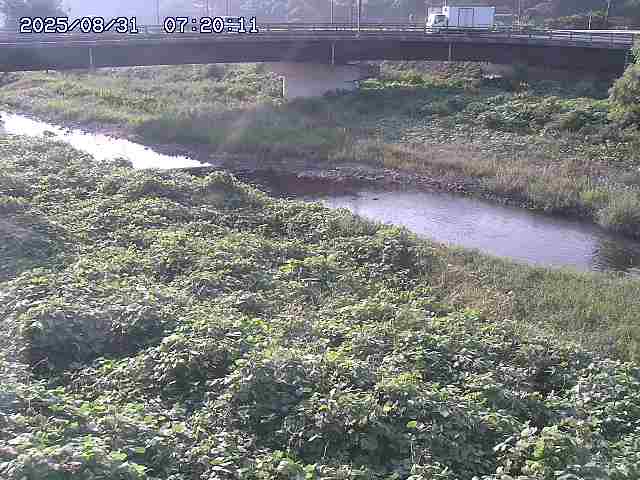 野坂川３2025/08/31 08:50