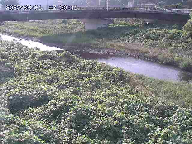 野坂川３2025/08/31 08:50