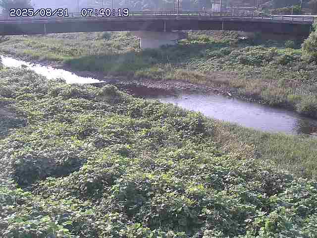 野坂川３2025/08/31 08:50