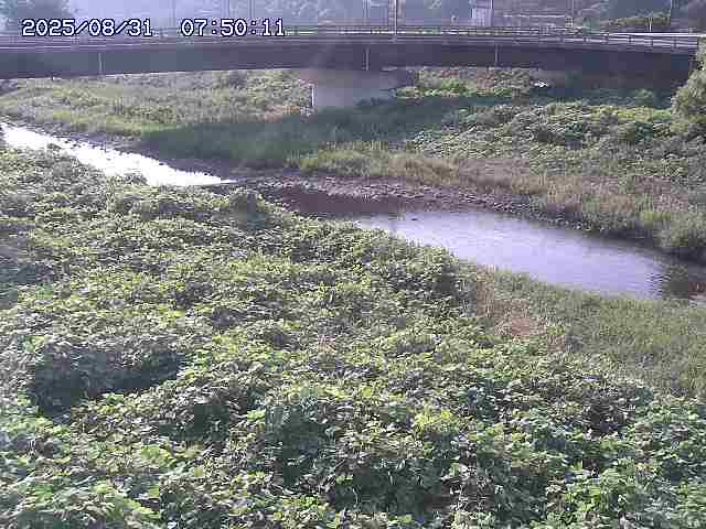 野坂川３2025/08/31 08:50