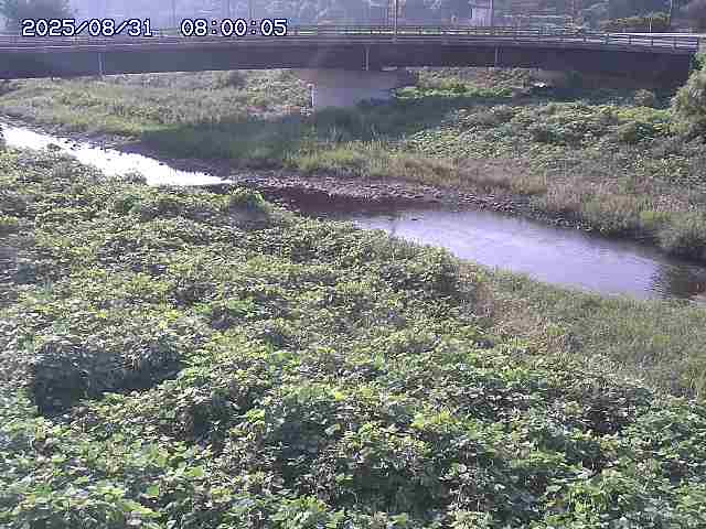 野坂川３2025/08/31 08:50