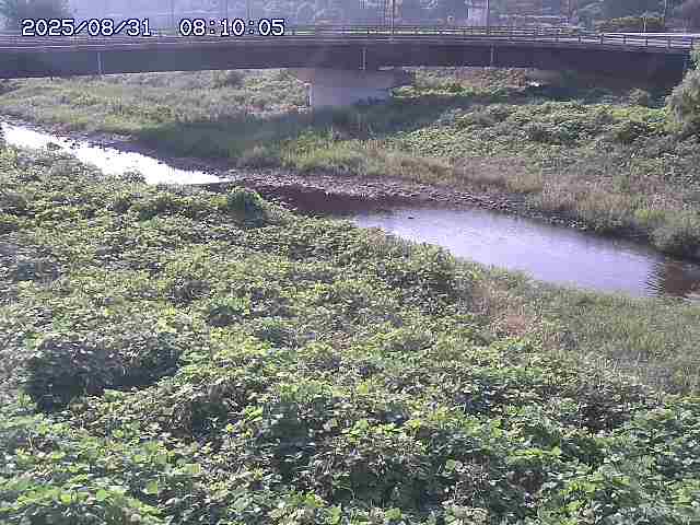 野坂川３2025/08/31 08:50