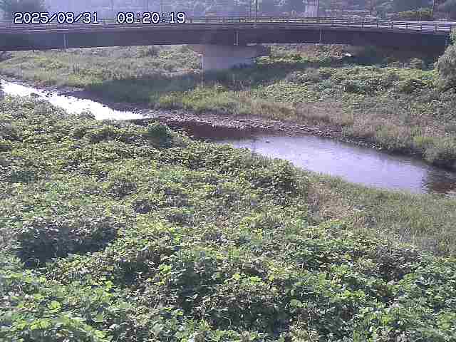 野坂川３2025/08/31 08:50