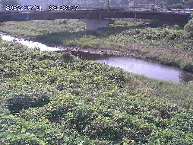 野坂川３2025/08/31 08:50