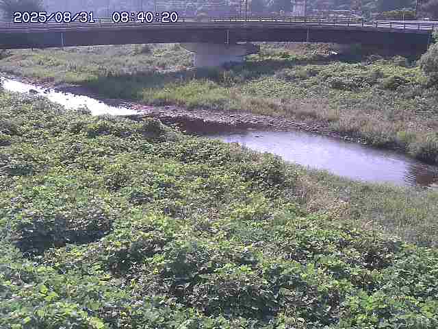 野坂川３2025/08/31 08:50