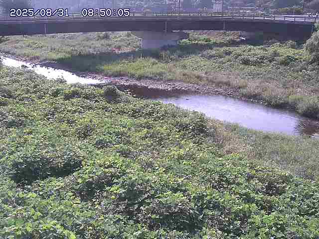 野坂川３2025/08/31 08:50