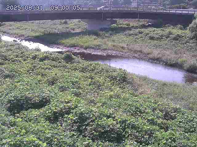野坂川３2025/08/31 08:50