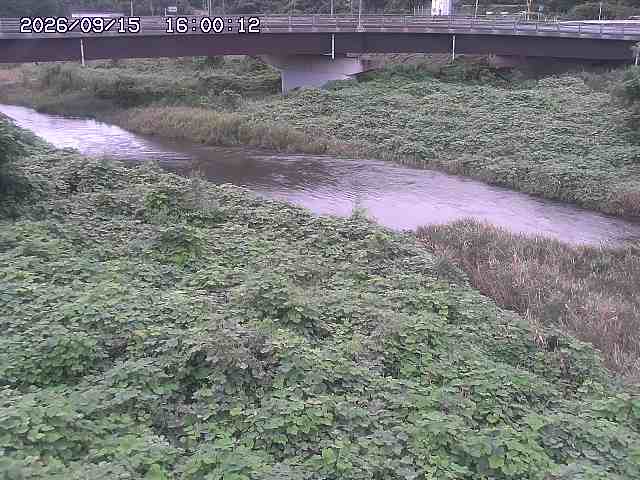 野坂川３2026/09/16 16:30