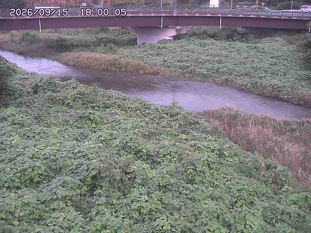 野坂川３2026/09/16 16:30