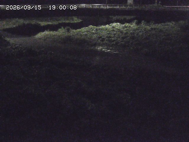 野坂川３2026/09/16 16:30
