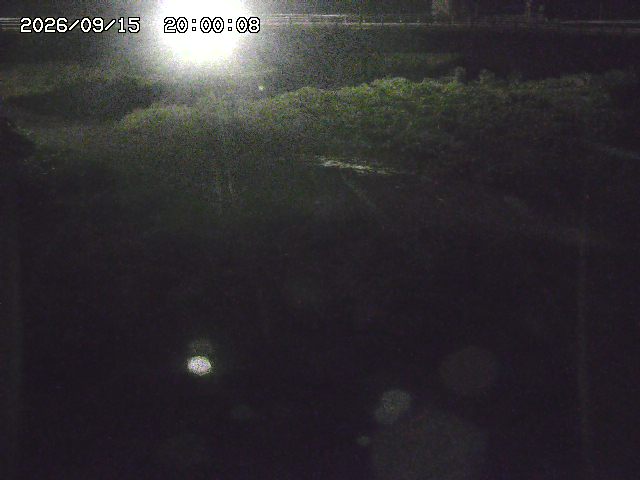 野坂川３2026/09/16 16:30