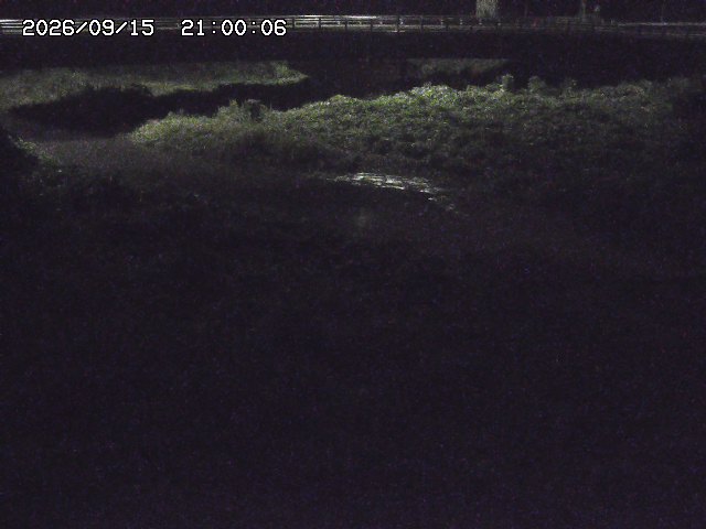 野坂川３2026/09/16 16:30