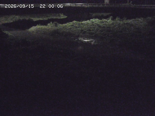 野坂川３2026/09/16 16:30