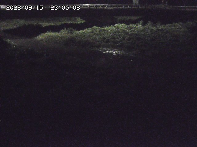 野坂川３2026/09/16 16:30